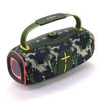 Subwoofer portable haute puissance pour enceinte avec entrées USB et AUX, étanche IPX6, commande vocale, éclairage RGB