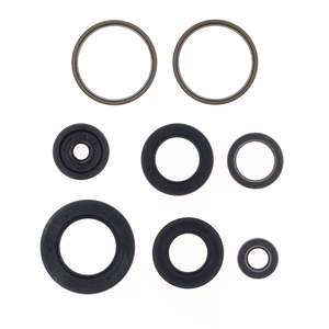 Kit de juntas de aceite - Product Image 2