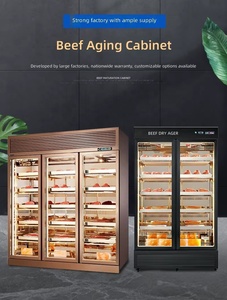 Frigorifero Commerciale per Stagionatura a Secco, Armadio per Stagionatura Carne, Frigo per Stagionatura Manzo, Doppia Porta in Vetro per Steakhouse - Product Image 3