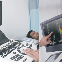 Obgyn Doppler medis, mesin Ultrasound hewan peliharaan pemindai kehamilan dokter hewan Digital 4D USG portabel