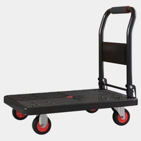 Carrito doméstico portátil de plástico y acero de 400KG, 72x48, polea de carro plana plegable, carrito pequeño personalizado OEM de cuatro ruedas