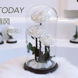 Véritable Rose Naturelle Belle Enchantée Fête des Mères Coffret Cadeau Décor Éternel Pour Toujours Rose Éternelle Fleur Préservée dans un Dôme en Verre Led - Product Image 5