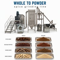 Machine à moudre les épices en poudre en acier inoxydable avec convoyeur à vis pour la production en usine alimentaire
