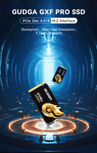 SSD PS5 M.2 NVMe PCIe 4.0 512GB 1TB 2TB 2242 NAND-flashdisk Solid-state harde schijf SSD 7000 MB/s - Product Image 2