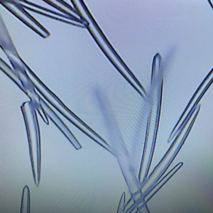 Sérum Anti-Âge OEM ODM à l'Extrait Végétal et Poudre d'Éponge Hydrolysée, Traitement des Taches Pigmentaires sous Forme de Poudre Cristalline - Product Image 4