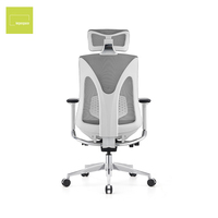 Chaise de bureau pivotante confortable et abordable en gros, chaise de bureau moderne et colorée en tissu maillé ergonomique