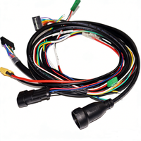Kabel Listrik dan Kabel Harness 2.5mm yang Disesuaikan dengan Harga Lebih Rendah, Rakitan Kabel dan Harness