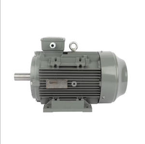 MOTOR TE-F 80M 0.75KW 50HZ 1425R/MIN 380V HYO SUNG Corea Auténtico - Product Image 4