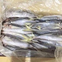 Prix du poisson maquereau entier congelé