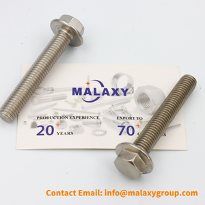 Malaxy Outils de quincaillerie d'excellente qualité Bride hexagonale personnalisée Boulons à longue tige Finition en zinc - Product Image 3