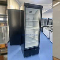 Congélateur vertical à vitrine en verre trempé, écoénergétique, à refroidissement par air, pour la conservation des aliments surgelés dans les cuisines de restaurants