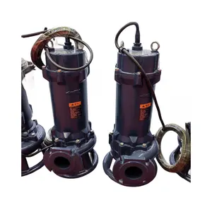 380V Cast Iron Sewage Pump Dirty Sewage Water for Underwater Use 3hp Submersible Water Pump 2.2kw