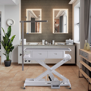 Table de toilettage pour chien électrique avec 4 tiroirs à fermeture douce, facile à utiliser, design simple, cadre en métal pour utilisation en <span class=keywords><strong>salon</strong></span>, sans roues - Product Image 1