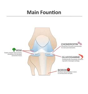Üretici ortak ve kemik sağlığı için toplu glukozamin sülfat ve kondroitin sülfat sodyum tozu sağlar - Product Image 2