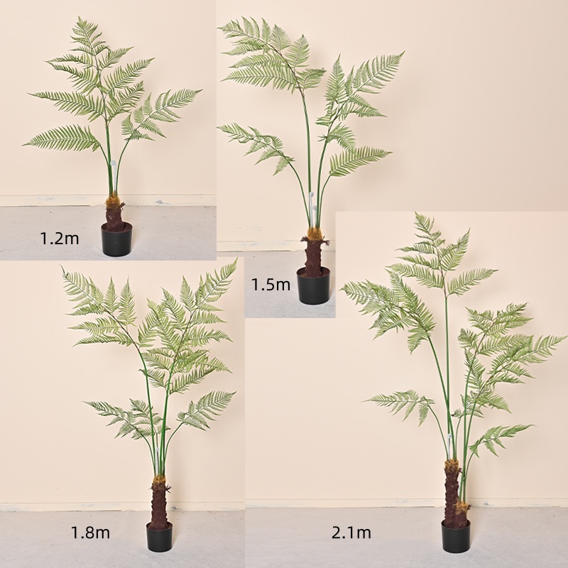 Arbre de fougère 1.6m
