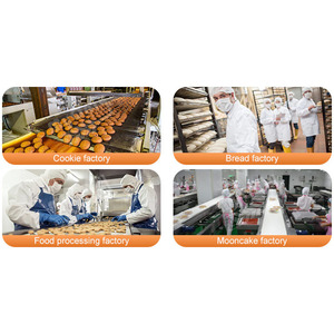 <strong>Industrial</strong> Conveyor Belt Oven Bakery <strong>Pizza</strong> Gas Tunnel Oven for Biscuits - Product Image 5