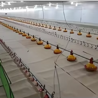 Estructura de Acero para Granja Avícola Económica, Capacidad para 10000/30000 Pollos, Construcción Rápida, Ligera y Económica