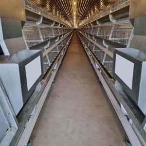 Équipement pour volaille machine de fabrication d'aliments pour volailles équipement pour l'élevage d'animaux et de volailles - Product Image 5