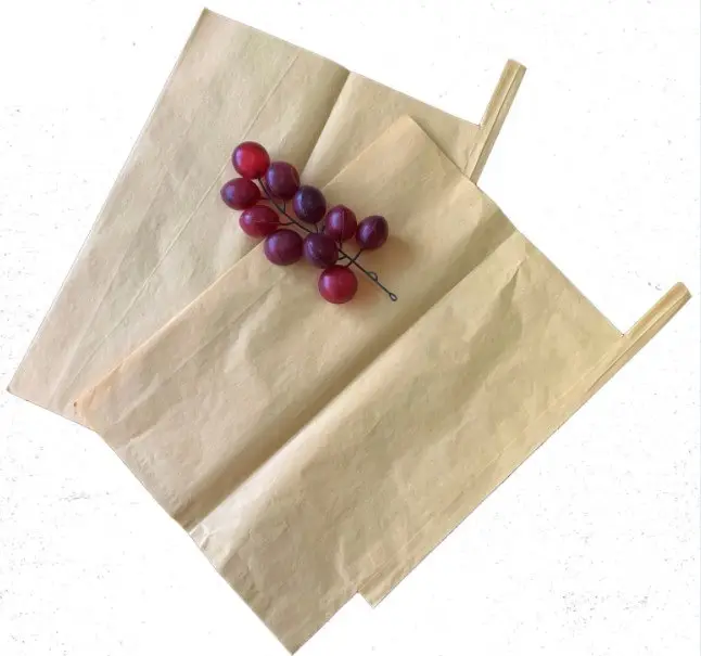 Sri Lanka/Bangladesh фруктовая оберточная бумага для выращивания бумажный пакет для защиты от манго