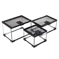 Vivarium pour reptiles, écosystème de forêt tropicale, anti-évasion, boîte d'élevage ventilée, habitat transparent pour serpents ermites, tortues, araignées