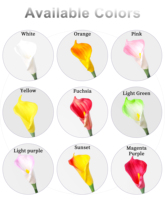 Fleur artificielle Calla Lily en PU grande taille pour la décoration de mariage, de salon, les arrangements floraux DIY et la décoration de fête (vente en gros)