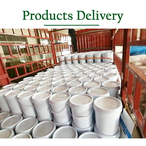 Npk + te בינוני אלמנטים מניטול אצות אורגני תמצית דשן שחרור איטי רב פונקציה - Product Image 5