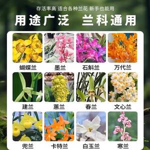 Hiện đại 3-5cm đánh bóng thông gỗ vỏ cây giữ ẩm Mông Cổ vỏ cây cho phong lan Dendrobium officinale trồng trọt - Product Image 2