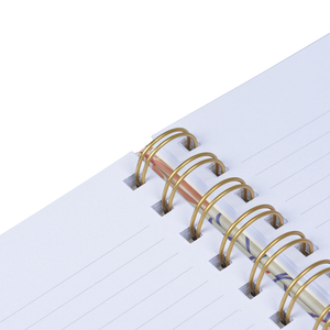 Carnet de notes OEM Culturel et Créatif avec Logo Personnalisé, <span class=keywords><strong>Spirale</strong></span> Double, Couverture Épaissie – Direct Usine - Product Image 4