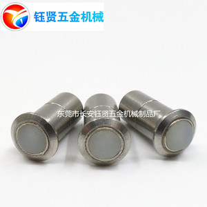 Stainless Steel Elastic Plunger D5 L11 Cylindrical Head <b>Polished</b> High Accuracy For <b>Plastic</b> Machinery Parts - Product Image 3