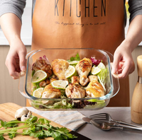 Passe au micro-ondes et au four en verre borosilicaté 9x9 plaque carrée ensemble plat de cuisson Premium pour la cuisson à la maison et la cuisine