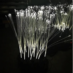 La nuova luce a fibra ottica della decorazione del parco del cortile del giardino - Product Image 2
