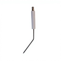 Sensor de Encendido para Horno Personalizado con Material de Aleación y Cerámica, 12V-480V, Clasificación de Temperatura de 600-1600°C para Hornos