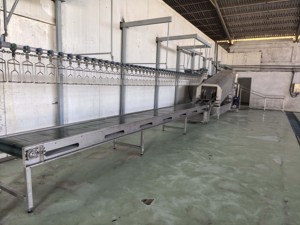 Automatische varkens slachtapparatuur slachthuis transportband slachtproductielijn met motor kerncomponenten - Product Image 3