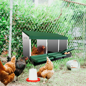 Nido Metálico para Gallinas Ponedoras de Granja Libre, Caja de Nidificación para Gallinas, Gallinero - Product Image 5