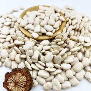 Top Quality Butter Beans/ White Kidney Beans At Lowest Price For Exporting Lima Beans