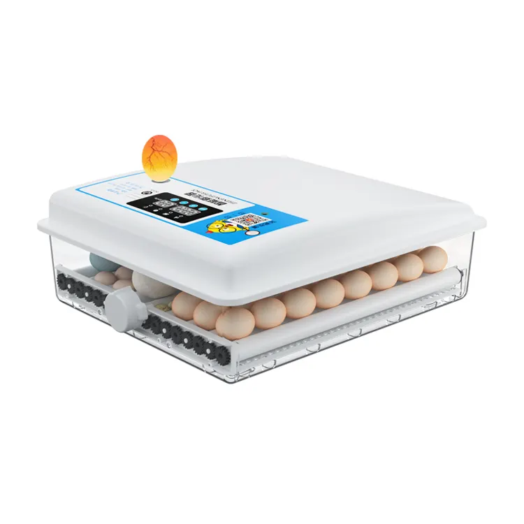 36 incubatrici per uova di gallina macchina da cova automatica