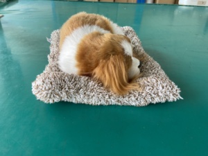 Gerçekçi gerçekçi interaktif arkadaşı Pet yavru oyuncak Modern stil araba Dashboard kullanımı için Nano kristal koku giderme ile - Product Image 3