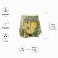 Piedra fósil tallada a mano de alta calidad natural al por mayor, tallas de cristal de animales, Piedra Fósil para decoración del hogar