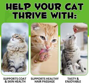 Suplemen Hati Kucing LOGO Khusus, Bentuk Permen Tekan, untuk Mendukung Kesehatan Hati Kucing dengan Daging Ayam, Pati Tapioka - Product Image 4