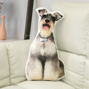 Cojín personalizado <span class=keywords><strong>de</strong></span> retrato <span class=keywords><strong>de</strong></span> Mascota <span class=keywords><strong>de</strong></span> <span class=keywords><strong>Anime</strong></span>, decoración para el hogar, <span class=keywords><strong>almohada</strong></span> <span class=keywords><strong>de</strong></span> <span class=keywords><strong>Dakimakura</strong></span> <span class=keywords><strong>de</strong></span> forma Irregular, OEM - Product Image 5