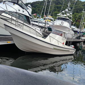 Grandsea -790 26 pieds Nouvelle auvent en fibre de verre pour <span class=keywords><strong>bateau</strong></span> de pêche sportive avec moteur essence et pont antidérapant - Product Image 3
