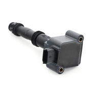 Automotive Engine Parts Ignition Coils for Porsche 99760210402