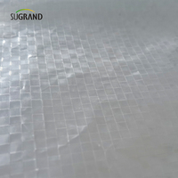 Bâche transparente pour vergers, couverture de cerises en HDPE + UV de 2x12m, bâche pour vergers du japon