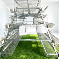 Équipement automatique en acier galvanisé pour poules pondeuses en batterie, cages pour poulets de ferme avicole, vente chaude