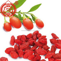 Baies de Goji Séchées Biologiques de Qualité Supérieure en Gros (UE) 180 Grains/50g Sucrées Sans Additifs pour Mélange de Grains et Céréales