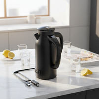 Bouilloire Électrique LY800 12V/24V Universelle avec Reconnaissance Automatique de Tension IA, 800ml, Ébullition Rapide de l'Eau et du Thé