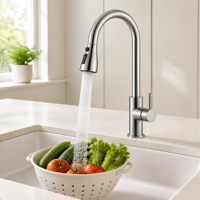 Robinet de cuisine en acier inoxydable SUS304, nouveau design, extractible, trois modes de pulvérisation, finition brossée