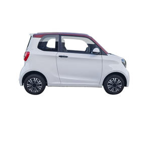 Promotion de nouveaux produits : Mini berline électrique personnalisée, simple propulsion, intérieur lumineux, homologuée CEE, 45 km d'autonomie, 2 places, norme européenne. - Product Image 1