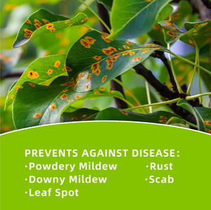 Wholesale Bulk Pure Cold Pressed Organic Neem Seed Oil For Skin Care Neem Oil for Agriculture Body <b>Massage</b> - Product Image 5