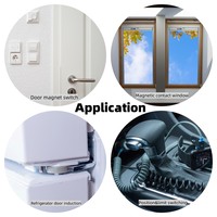 Sensor de interruptor de lengüeta magnético de rodillo normalmente abierto de montaje de tornillo de superficie de contacto de puerta resistente FOCUSENS